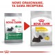 ROYAL CANIN Mini Dermacomfort -  dry food for adult small breeds of dogs with sensitive skin prone to irritation - 3kg