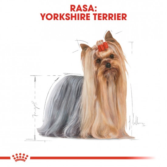 ROYAL CANIN BHN Yorkshire Terrier Adult - dry dog food - 3kg