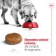 ROYAL CANIN Maxi Adult 5+ - dry dog food - 15 kg