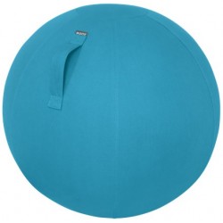 Leitz Ergo Cosy Blue Indoor Round