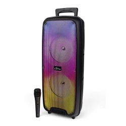 Large portable speaker KARAOKE FLAMEZILLA MT3178