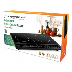 Esperanza EKH008 hob Black Countertop Zone induction hob 2 zone(s)