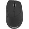 Esperanza EM123K mouse Right-hand Bluetooth 2400 DPI