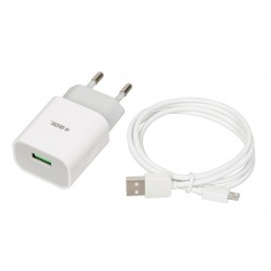 iBOX C-41 universal charger with micro USB cable, white