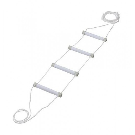 Rehabilitation bed ladder fluorescent