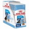 Royal Canin Maxi Puppy 10x140g