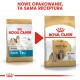 ROYAL CANIN Shih Tzu Adult - dry dog food - 1,5 kg