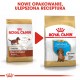 Food Royal Canin SHN Breed Dachshund Jun 1.5 kg