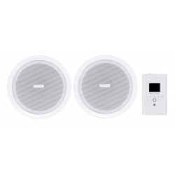 BLOW NS-01 In-wall/On-wall/In-ceiling speakers 15 W