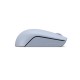 Lenovo 300 Wireless Compact Maus Kabellos Optisch Blau 3 Tasten 1000 dpi mouse Ambidextrous RF Wireless Optical