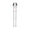 Black Diamond Mountain trekking pole Unisex Telescopic