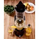 ELDOM Slow juicer, 250 W, quiet, 2 motor directions, black