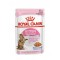 ROYAL CANIN FHN Kitten Sterilised - Wet cat food - 12x85g