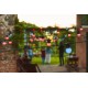 SMART LIGHTS TWINKLY FESTOON 20 RGB 10 M