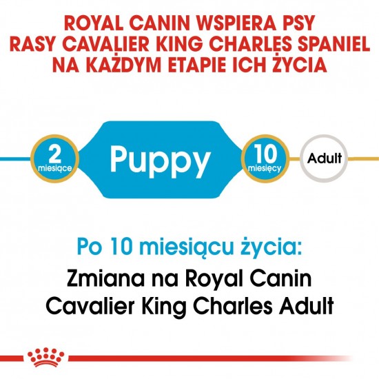 Royal Canin BHN Cavalier King Charles Spaniel Puppy - dry puppy food - 1.5kg