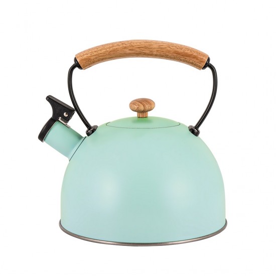 Steel kettle Promis TMC-15G - CLARA