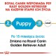 ROYAL CANIN Golden Retriever Puppy - dry dog food - 12 kg