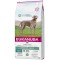 Eukanuba Daily Care Sensitive Joints - dry dog food - 12 kg