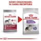 ROYAL CANIN CCN Medium Sterilised  Adult - dry dog food - 12 kg