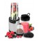 Esperanza EKM030 Nutri blender / Personal blender 9in1 900W Silver