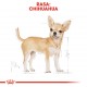 ROYAL CANIN Chihuahua - pack 12x85g