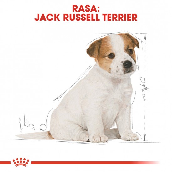 Royal Canin SHN Breed Jack Russell Junior - Dry dog food Poultry,Rice - 3 kg