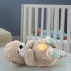 Fisher-Price Soothe 'N Snuggle Otter