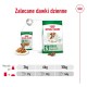 ROYAL CANIN Mini Ageing 12+ - wet dog food - 12 x 85g