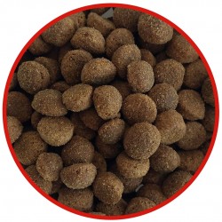 BIOFEED Tasty Life medium & large Beef - dry dog food - 15kg