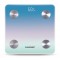 Personal bathroom scale with Bluetooth Blaupunkt BSM601BT