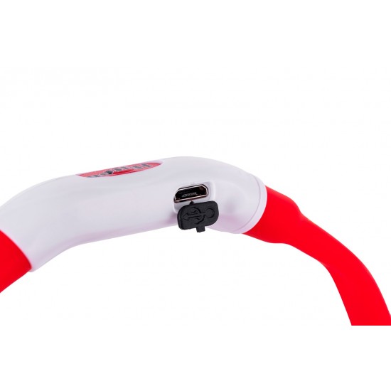 HILTON LED silicone 1.4x0.8x40 cm with USB - dog collar