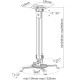 Techly Projector Ceiling Support Extension 545-900 mm Silver ICA-PM 18M