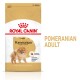 Royal Canin Pomeranian Adult - dry food for dogs - 3 kg