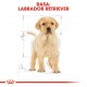 ROYAL CANIN BHN Labrador Retriever Puppy - dry puppy food - 3kg