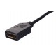 Lanberg AD-0003-BK DisplayPort cable 0.12 m Mini DisplayPort Black