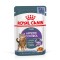 ROYAL CANIN FCN Appetite Control in sauce - wet food for adult cats - 12x85g