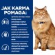 HILL'S PD K/D Kidney + Mobility Chicken - dry cat food - 3kg