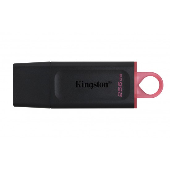 Kingston Technology DataTraveler Exodia - USB 3.2 Flash Drive