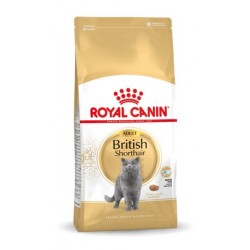 Royal Canin FBN British Shorthair Adult - dry cat food - 10kg