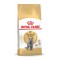 Royal Canin FBN British Shorthair Adult - dry cat food - 10kg