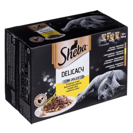 Sheba Delicacy in Jelly Chicken Flavours 12 x 85 g