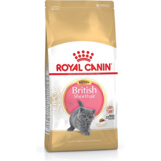 Royal Canin British Shorthair Kitten cats dry food 2 kg Poultry, Rice, Vegetable