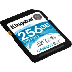 Kingston - Canvas Go! 256 GB SDXC